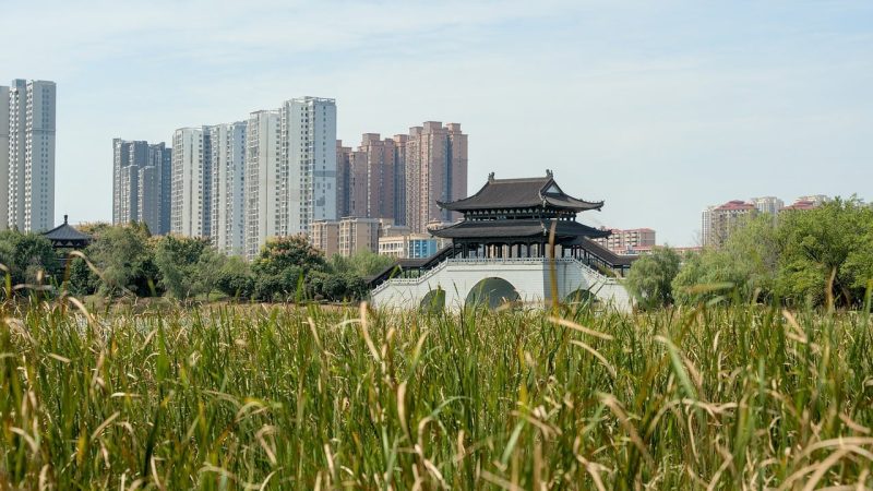 深度解读：围绕「集芳阁」这个名字，新手该怎么核、