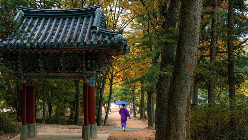 深度解读:围绕「集芳阁」这个名字,新手该怎么核、